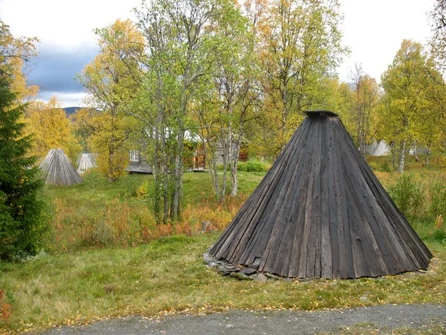 Kätor i Saxnäs 2015
