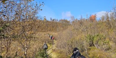 Vandring i Funäsdalen